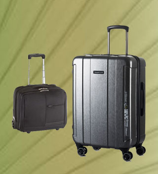 Princeware pronto trolley online bags