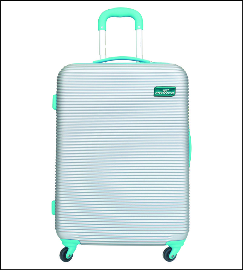 linea suitcase